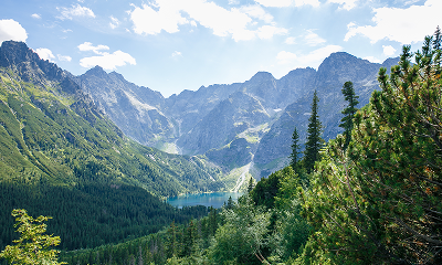 Overseas Forest Information Service is committed to helping individuals and private companies, finding ways to expand to overseas market