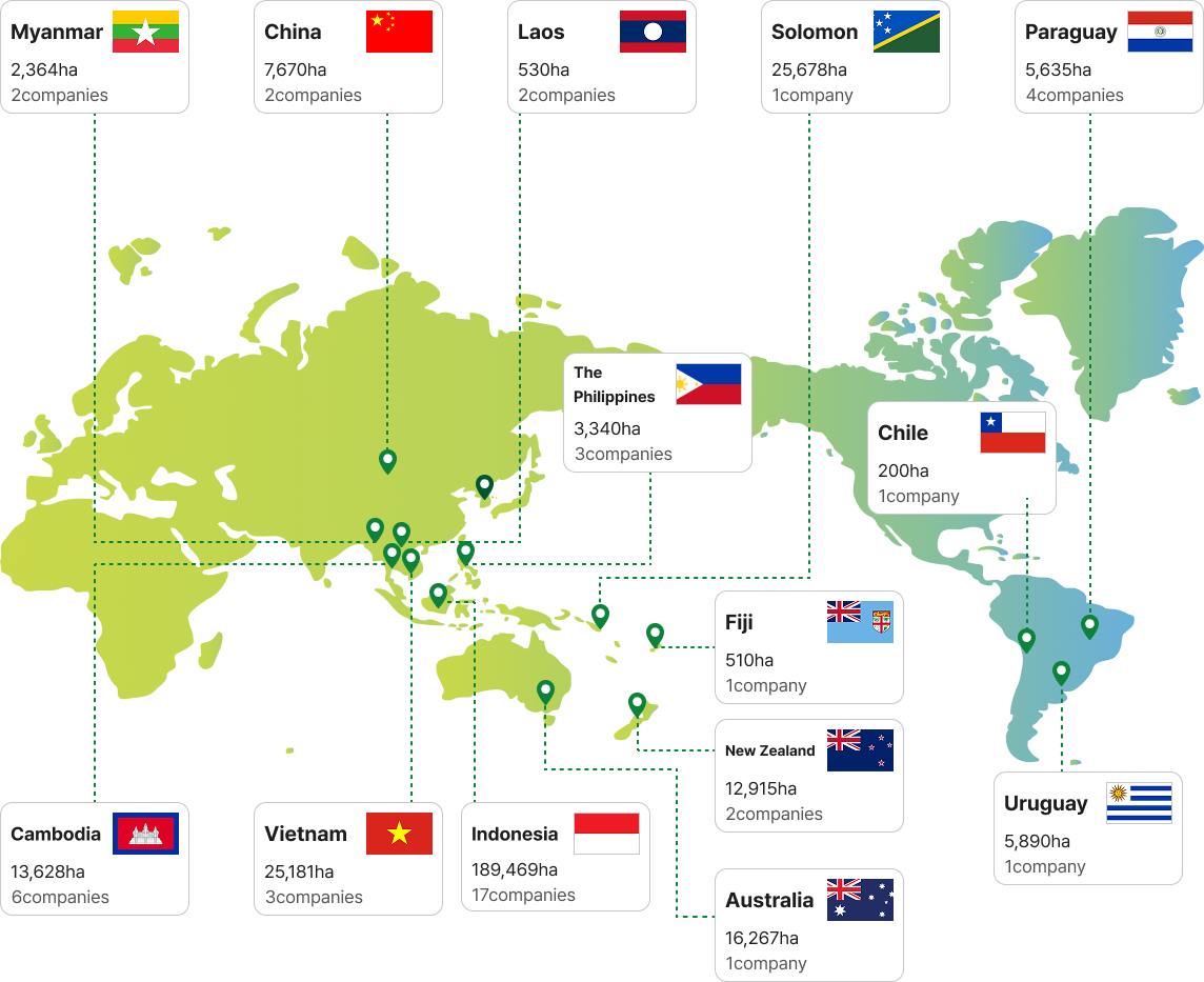 Myanmar  2 companies 2,364ha,China  2 companies  7,670ha,Laos 2 companies 530ha,Solomon 1 company 24,196ha,Paraguay  4 companies 5,635ha,The Philippines  2 companies 3,320ha,Chile  1 company 200ha,Fiji  1 company 510ha,Cambodia  6 companies 13,428ha,Vietnam 3 companies 25,181ha,Indonesia 17 companies 189,469ha,Australia  1 company 16,627ha,Uruguay  1 company 5890ha 
