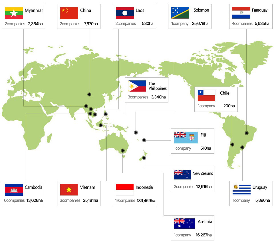 Myanmar  2 companies 2,364ha,China  2 companies  7,670ha,Laos 2 companies 530ha,Solomon 1 company 24,196ha,Paraguay  4 companies 5,635ha,The Philippines  2 companies 3,320ha,Chile  1 company 200ha,Fiji  1 company 510ha,Cambodia  6 companies 13,428ha,Vietnam 3 companies 25,181ha,Indonesia 17 companies 188,759ha,Australia  1 company 16,627ha,Uruguay  1 company 5890ha 